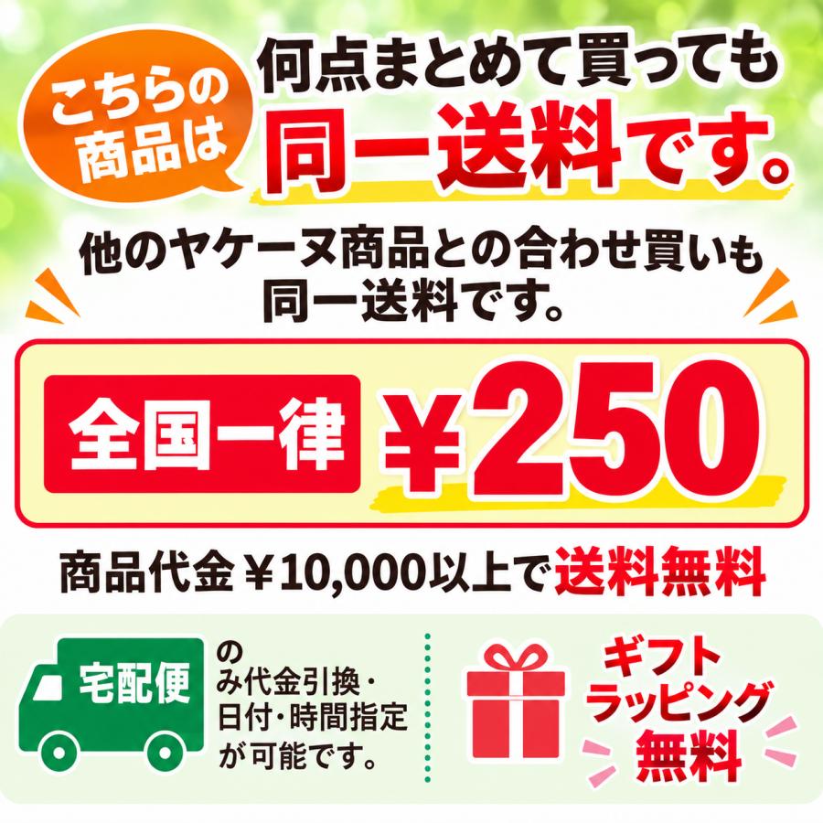 ヤケーヌ公式 スタンダード フェイスマスク 日焼け UVカット スポーツ 敏感肌 息苦しくない | YAKeNU | 20