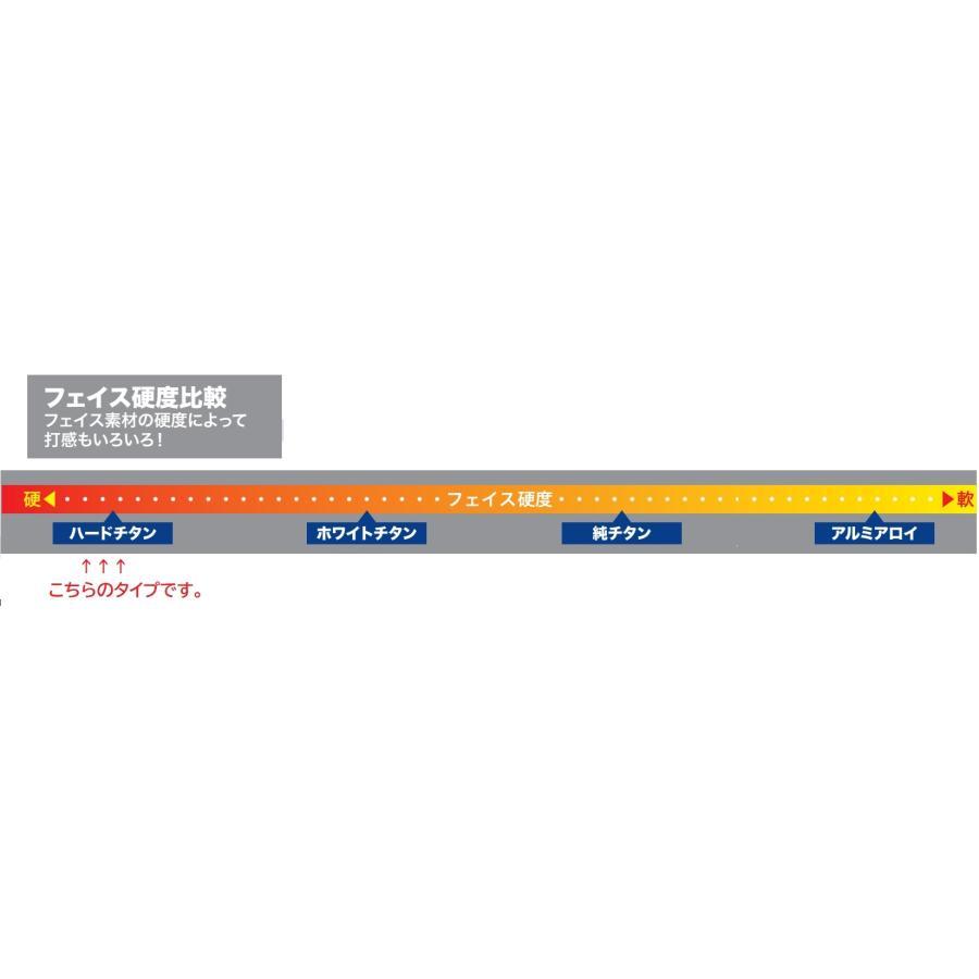 マレットゴルフ スティック 最高峰 AR-Z 本格派 チタンフェイス マレットゴルフ スティック 最高峰 AR-Z 本格派 チタンフェイス