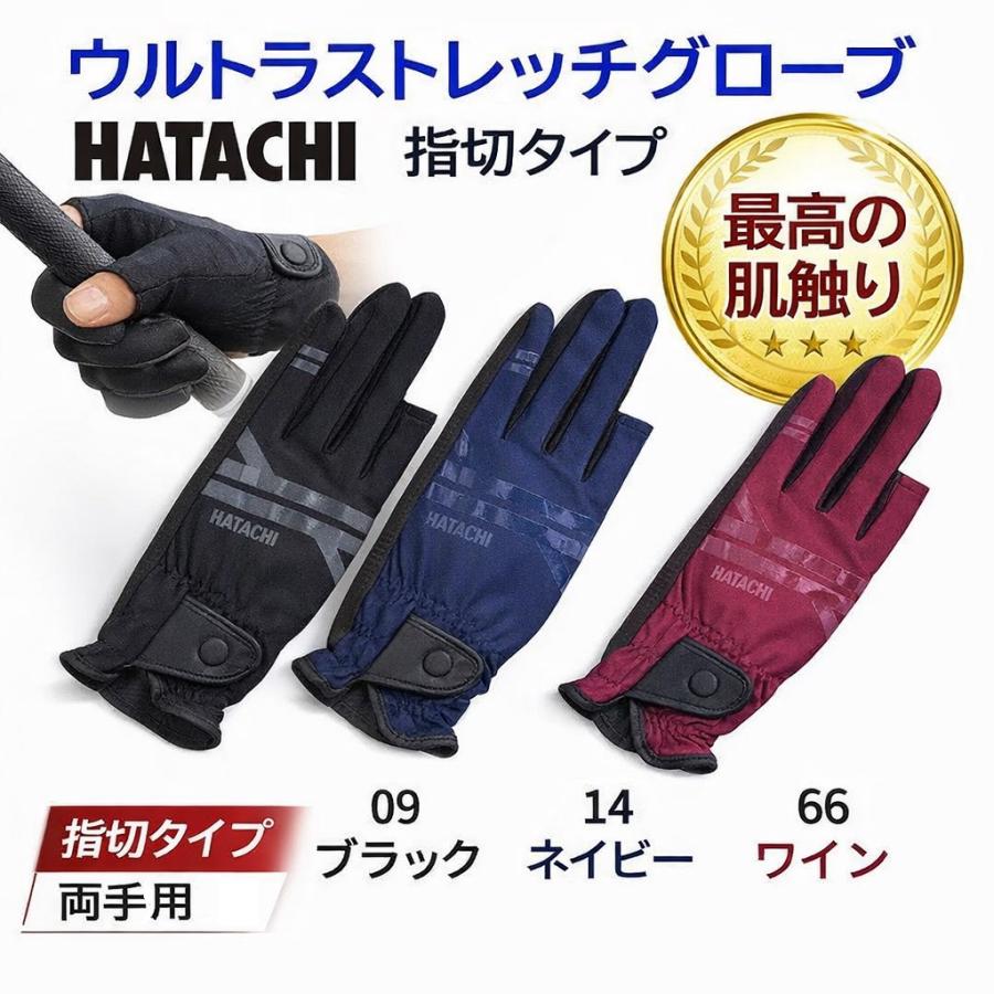 マレットゴルフ用品 マレットゴルフ スティック 最高峰 AR-Z 本格派 チタンフェイス