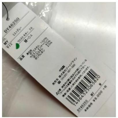 ショートパンツ レディース レイヤード ダンスキン | DANSKIN | 06