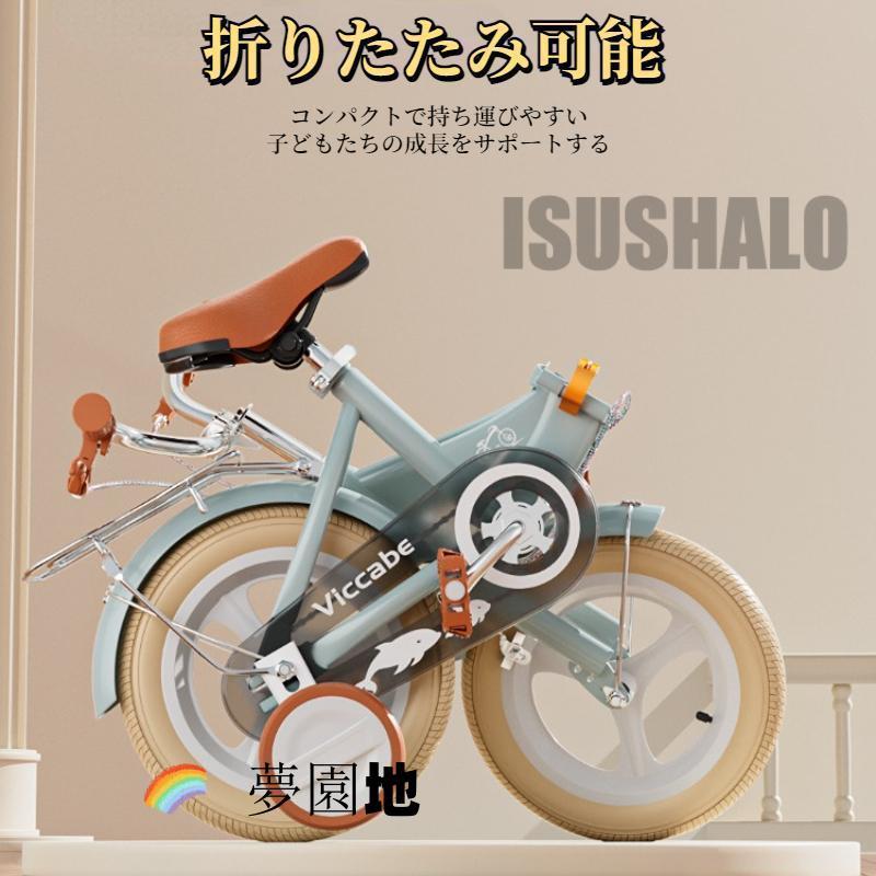 OTOMO EZ Freestyle 16 inch RB16B-30 ブルー 67963 子供用自転車(16