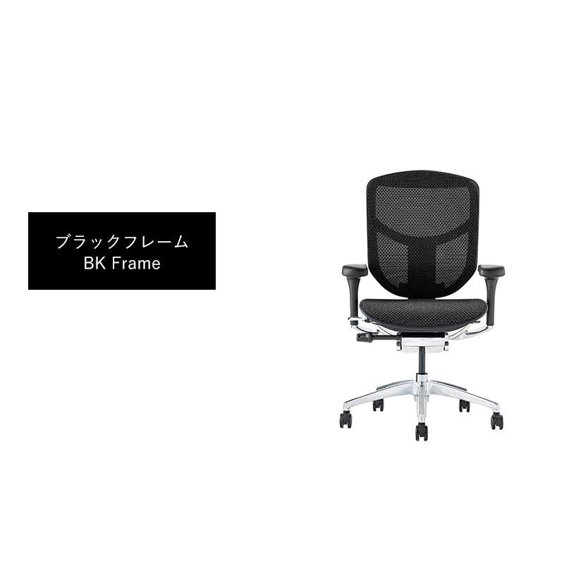エルゴヒューマン（Ergohuman） エンジョイ2 ロータイプ Ergohuman 