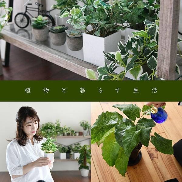 スタンドミラー 姿見 ガラス インテリア 幅100 グリーン 観葉植物 シャビー 多肉植物 棚 ラック おしゃれ シンプル 一人暮らし 木製 古材 Faw 0008 Faw 0008 3000d まるしょうインテリア 通販 Yahoo ショッピング