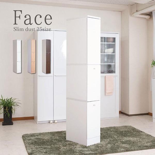 キッチンシリーズ Face ダストボックス 2分別 ごみ箱 スリム 幅25 ホワイト fy-0050