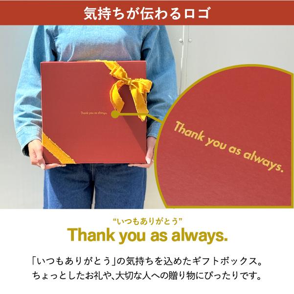 コスタノバ 食器 ギフトセット 食器セット 結婚祝い パスタ皿 新生活セット プレゼント お皿 ギフト おしゃれ 北欧 COSTA NOVA ディナープレート 3枚セット_8