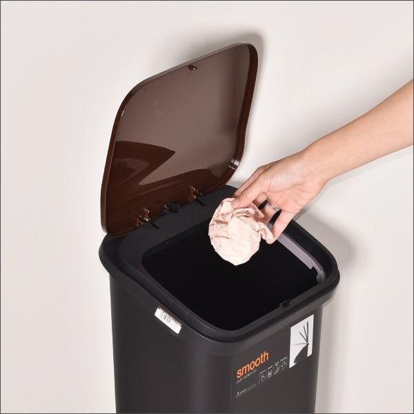 ゴミ箱 おしゃれ 20リットル キッチン用 分別 屋外 スリム リビング用 蓋付き フタ付き 縦型 ごみ箱 スムース プッシュダストボックス 20L 2個セット
