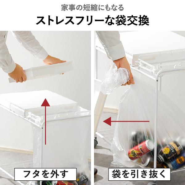 ゴミ箱 45リットル おしゃれ 分別 ごみ箱 ダストボックス ふた付き 45L スリム キッチン キャスター 資源ゴミ 縦型 RISU 2分別フレームダストワゴン フタ付き