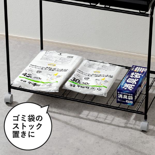 ゴミ箱 45リットル おしゃれ 分別 ごみ箱 ダストボックス ふた付き 45L スリム キッチン キャスター 資源ゴミ 縦型 RISU 2分別フレームダストワゴン フタ付き
