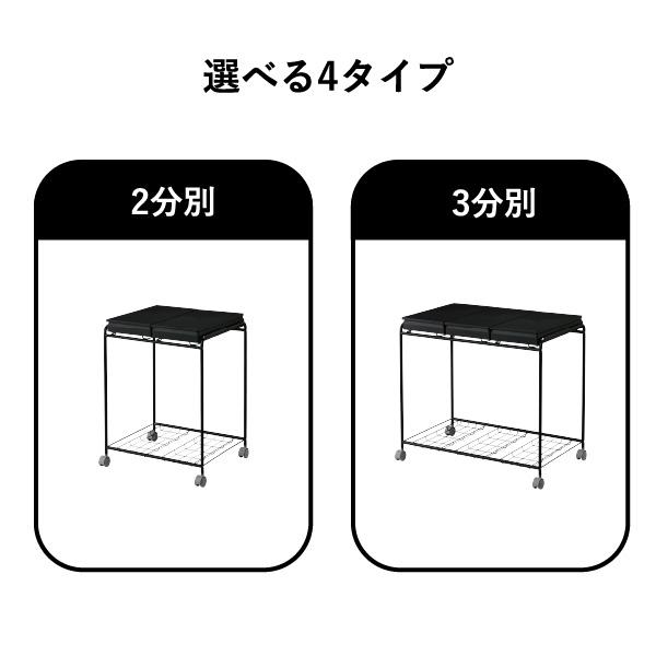 ゴミ箱 45リットル おしゃれ 分別 ごみ箱 ダストボックス ふた付き 45L スリム キッチン キャスター 資源ゴミ 縦型 RISU 2分別フレームダストワゴン フタ付き