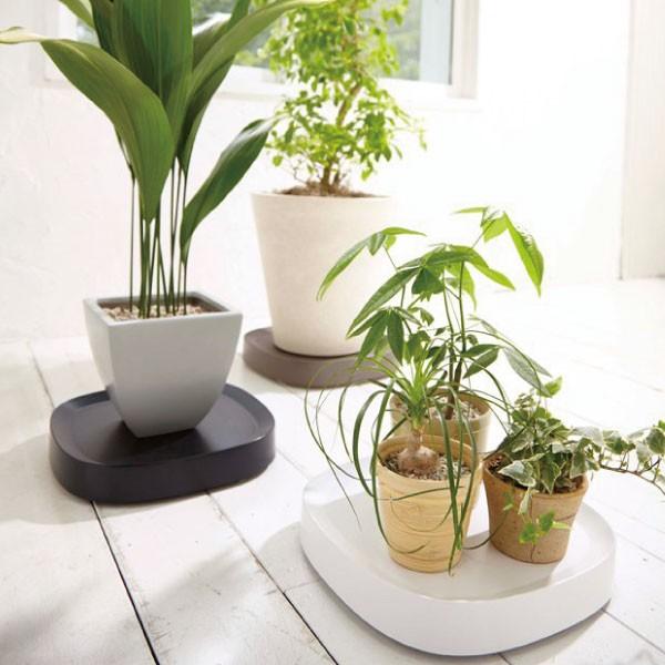 鉢受け皿 鉢ソーサー プランター 鉢植え台 鉢台 キャスター付き鉢皿 受皿トレイ 鉢置台 おしゃれ 園芸用品 Tidy プランタブル Plantable 025a 314 ママチー 通販 Yahoo ショッピング