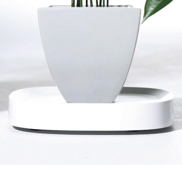 鉢受け皿 鉢ソーサー プランター 鉢植え台 鉢台 キャスター付き鉢皿 受皿トレイ 鉢置台 おしゃれ 園芸用品 Tidy プランタブル Plantable 025a 314 ママチー 通販 Yahoo ショッピング