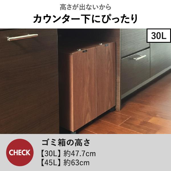 TATSUーCRAFT（タツクラフト） ゴミ箱 45リットルゴミ袋対応 分別 30