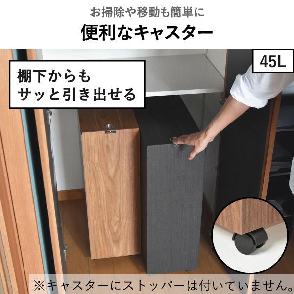 TATSUーCRAFT（タツクラフト） ゴミ箱 45リットルゴミ袋対応 分別 30