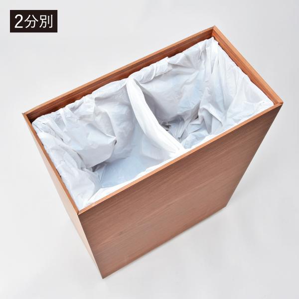 TATSUーCRAFT（タツクラフト） ゴミ箱 おしゃれ ダストボックス 2分別