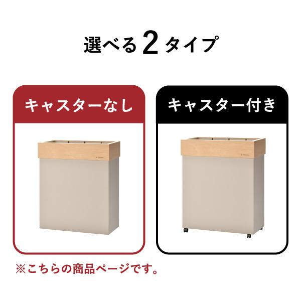 ヤマト工芸 ゴミ箱 スリム おしゃれ 分別 キッチン ダストボックス