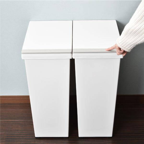 ①プッシュ式ゴミ箱 45L アスベル（ASVEL） ゴミ箱 おしゃれ インテリア雑貨 北欧