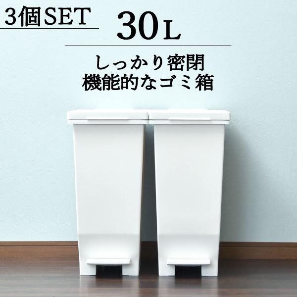 ゴミ箱 北欧 おしゃれ キッチン 生ゴミ 袋が見えない ダストボックス ごみ箱 リビング インテリア雑貨 北欧 アスベル エバンMP 密閉ペダルペール 30L 3個セット