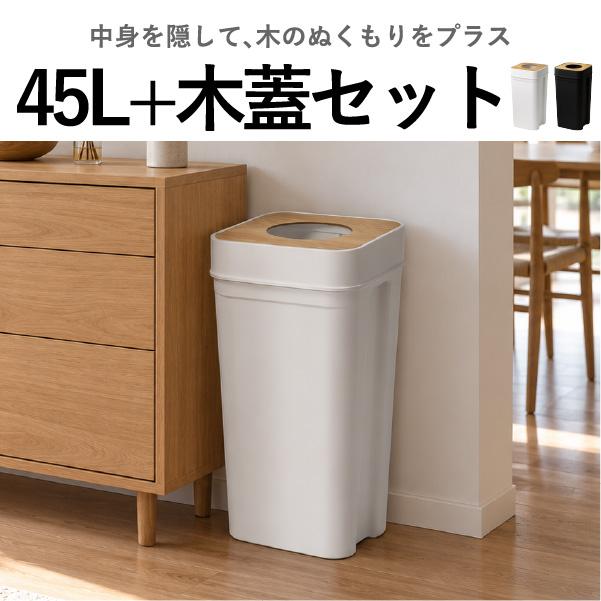 Like-it（ライクイット） ゴミ箱 スリム おしゃれ 45リットル 分別