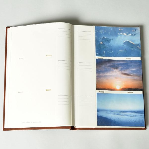 フォトアルバム ポケットアルバム 写真 大容量 おしゃれ 台紙 かわいい L判 収納 プレゼント コルソグラフィア ベーシックアルバム 150ポケット 3冊セット 060a 042 009 ママチー 通販 Yahoo ショッピング