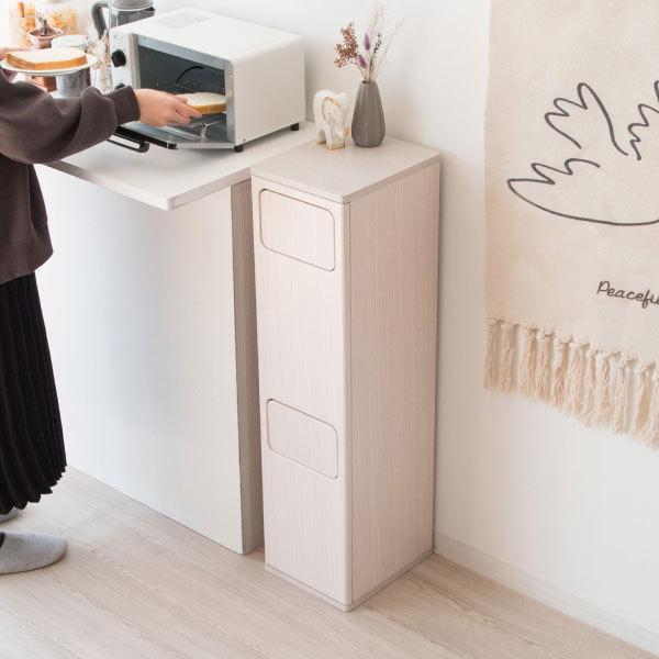 宮武製作所 ゴミ箱 分別 スリム 縦型 二段 おしゃれ 角型 20L 20