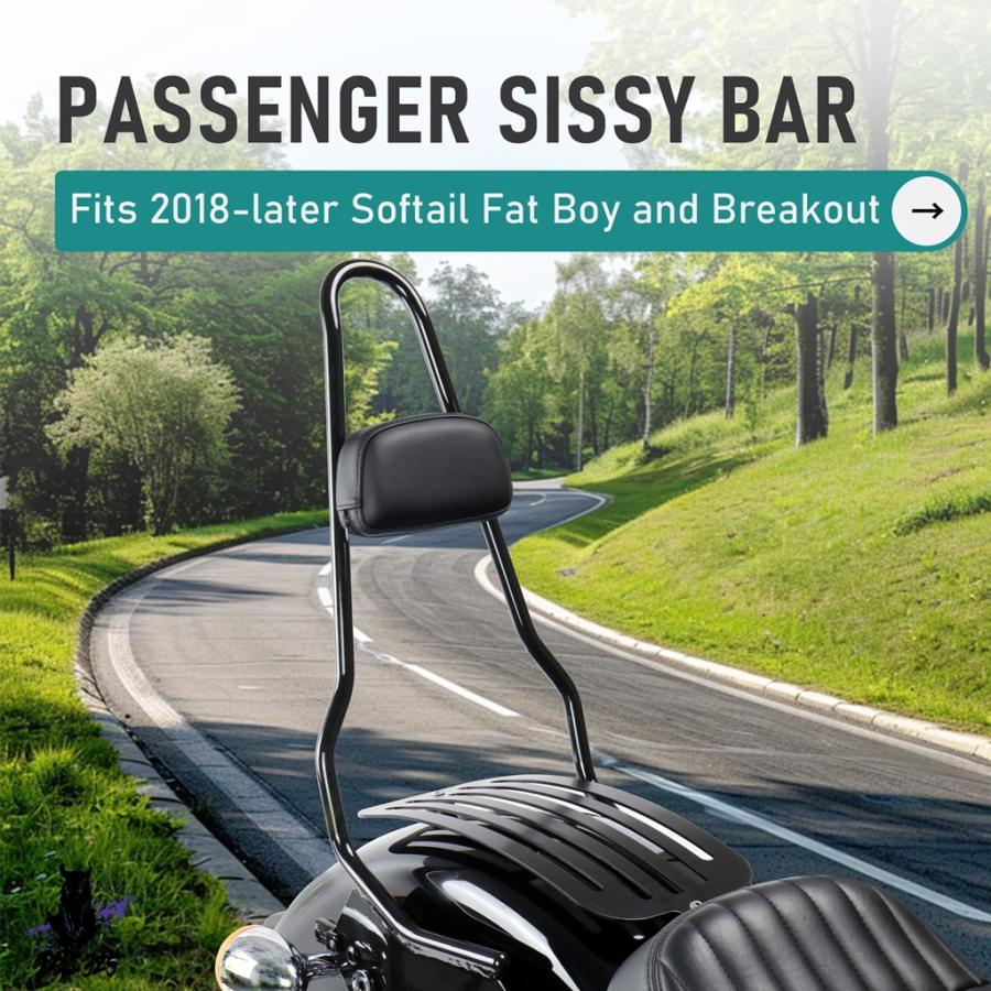 互換品  22.5インチ シシーバー 助手席 パッド ハーレー 2018年以降 ソフテイル ブレイクアウト FXBR FXBRS \u0026 ファットボーイ FLFB FLFBSの画像
