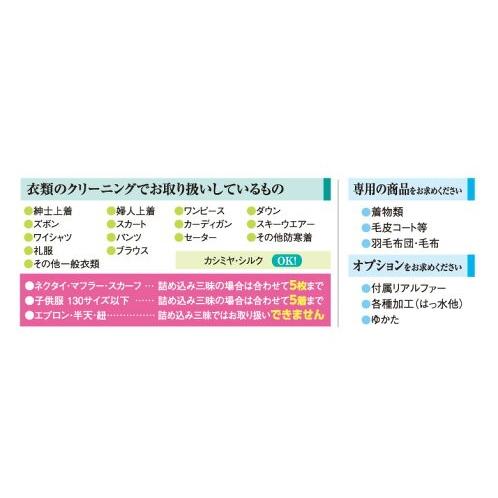 クリーニング 宅配 詰め放題 Lサイズ詰め込み三昧 何枚入れてもＯＫ 送料無料（東北・関東・甲信越）！ 入るだけ入れて下さい！の画像