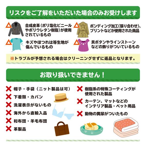 クリーニング 宅配  10点まで詰め放題 Lサイズ 送料無料(東北・関東・甲信越) 保管追加できます。の画像