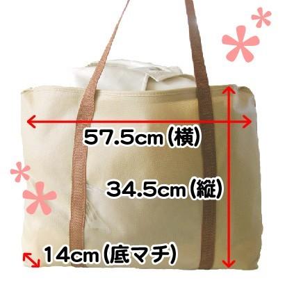 クリーニング 宅配 詰め放題 Mサイズ詰め込み三昧 何枚入れてもＯＫ 送料無料（東北・関東・甲信越）！ 入るだけ入れて下さい！の画像