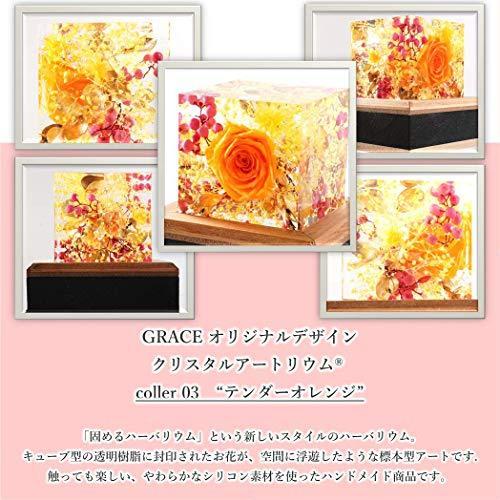 超特価激安 Grace クリスタルアートリウム テンダーオレンジ 固める ハーバリウム プリザーブドフラワー ギフトボックス 限定価格セール M Mahdi Net