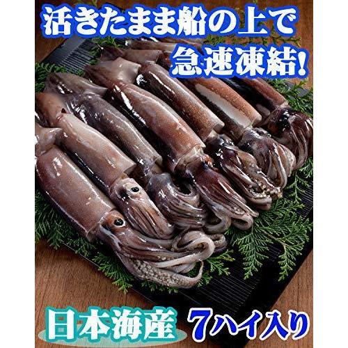 ますよね 日本海産 お刺身用 するめいか 真イカ スルメイカ 7ハイ 1 5kg前後 A B01my9w4fi 全国オンライン 名古屋本店 通販 Yahoo ショッピング