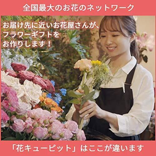 決算特価商品 仏花 花キューピット Yr00 お供え お悔やみの献花 お供えのアレンジメント 供花 お盆 枕花 法事 法要 その他インテリア雑貨 小物 Ospedagogicosblog Com Br