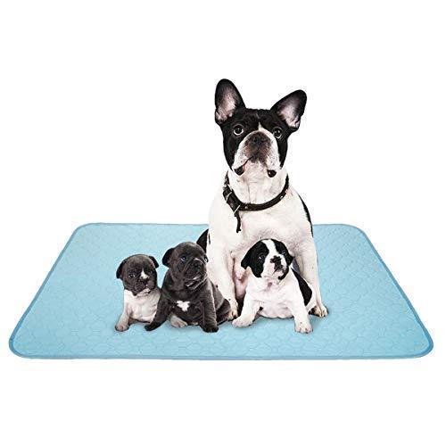 ペットシーツ 洗える 猫 犬用 おしっこパッド ペット用 トイレ下敷きマット 速乾 洗える 大判サイズ 多頭飼い A B08gld9w43 全国オンライン 名古屋本店 通販 Yahoo ショッピング