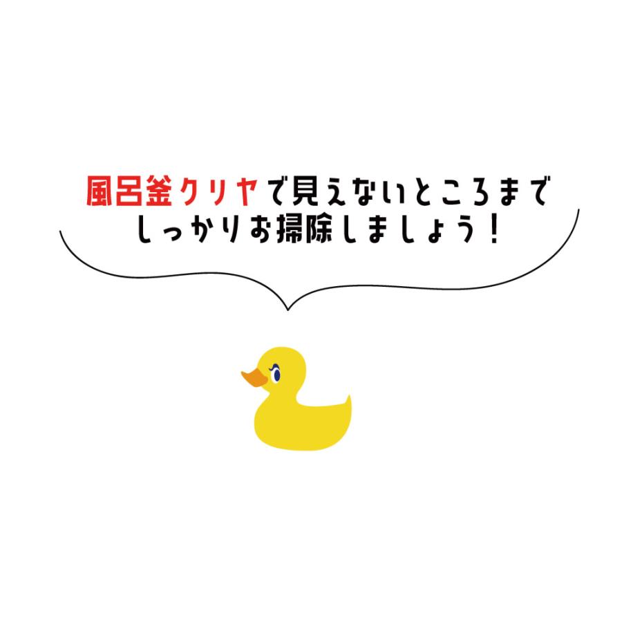風呂釜 洗浄剤 「風呂釜クリヤ １袋」お風呂 の 湯ドロ 配管 除菌 洗浄 送料無料 |  | 02