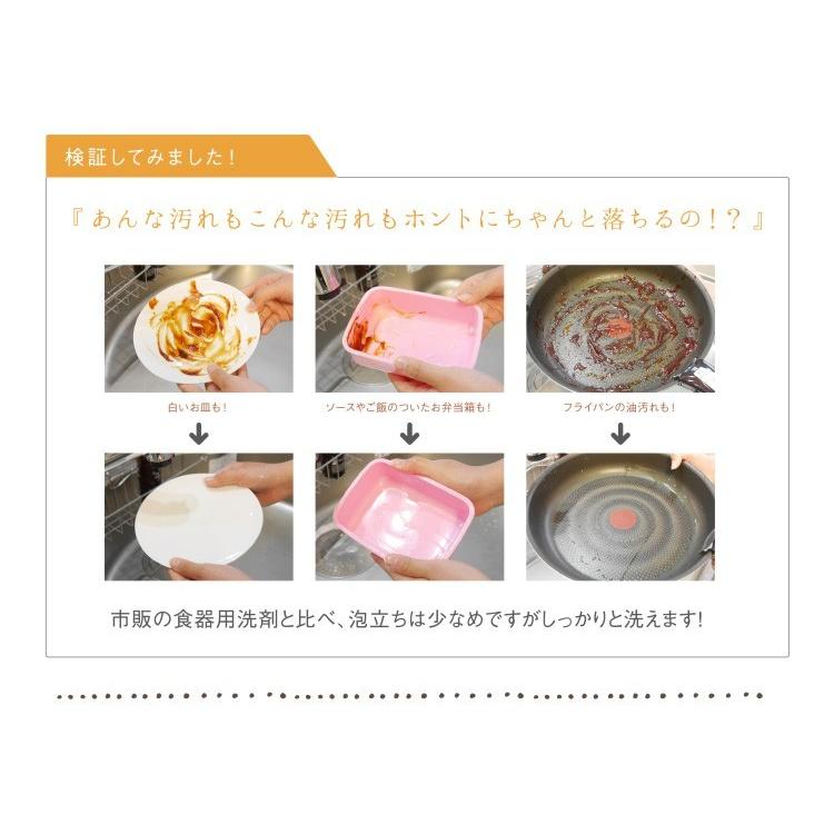 手 肌 に やさしい 食器用洗剤 「クロリスウォッシュフォーディッシュ 250ml Chloris Wash for Dish」 手荒れ｜mamano｜07