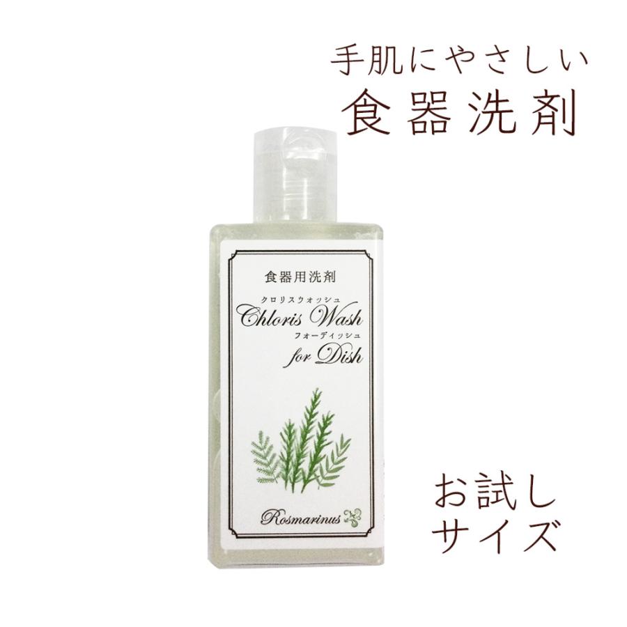手 肌 やさしい 食器用洗剤 「 ChlorisWashforDish クロリスウォッシュ
