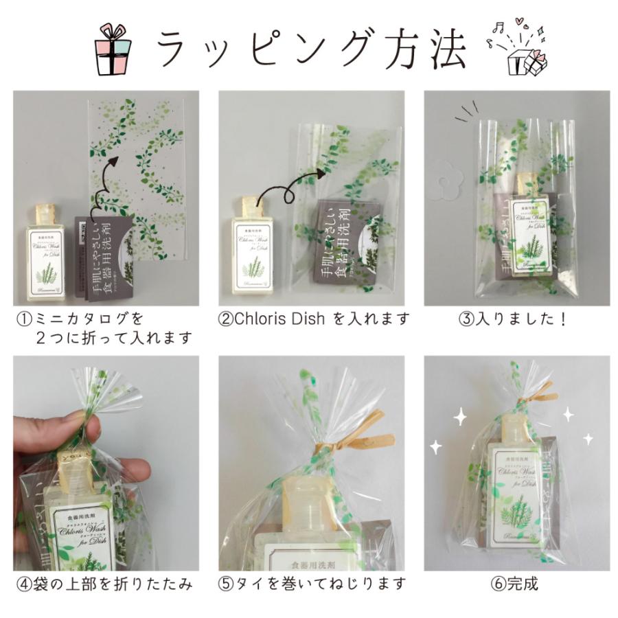 プチギフト に！手肌 に やさしい 食器用洗剤「クロリスディッシュ お試しサイズ ギフト用セット ×5個」 |  | 06