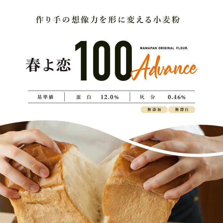 Sale 78 Off 強力粉 春よ恋100advance 25kg 北海道産 パン用小麦粉 国産小麦粉 業務用 沖縄は別途追加送料必要 Materialworldblog Com