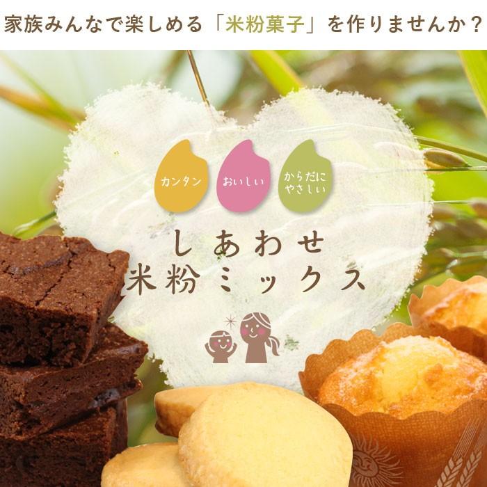 淡路製粉 米粉クッキーミックス粉 120g×4 ミックス粉 グルテンフリー 小麦粉不使用【ゆうパケット／送料無料】 | mamapan | 02