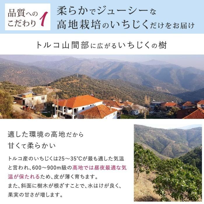 ハラル認証 ドライいちじく（ナチュラルカット） 1kg トルコ産 全粒検査品 砂糖不使用 無漂白【宅急便コンパクト／送料無料】 | mamapan | 02