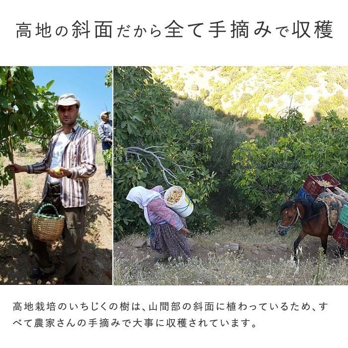 ハラル認証 ドライいちじく（ナチュラルカット） 1kg トルコ産 全粒検査品 砂糖不使用 無漂白【宅急便コンパクト／送料無料】 | mamapan | 04