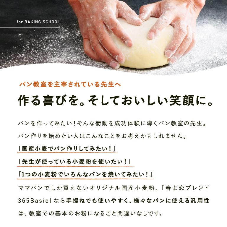 春よ恋ブレンド365Basic 2.5kg 強力粉 北海道産パン用小麦粉 春よ恋+ゆめちから 北海道産小麦粉 国産小麦粉 | mamapan | 13