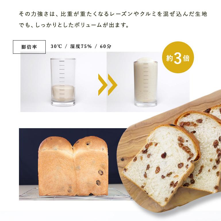 春よ恋ブレンド365Basic 2.5kg 強力粉 北海道産パン用小麦粉 春よ恋+ゆめちから 北海道産小麦粉 国産小麦粉 | mamapan | 08