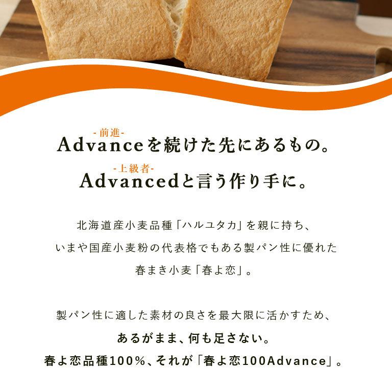 送料込み 春よ恋100Advance 2.5kg×4 北海道産 パン用 小麦粉 送料無料 【沖縄は別途追加送料必要】｜mamapan｜03