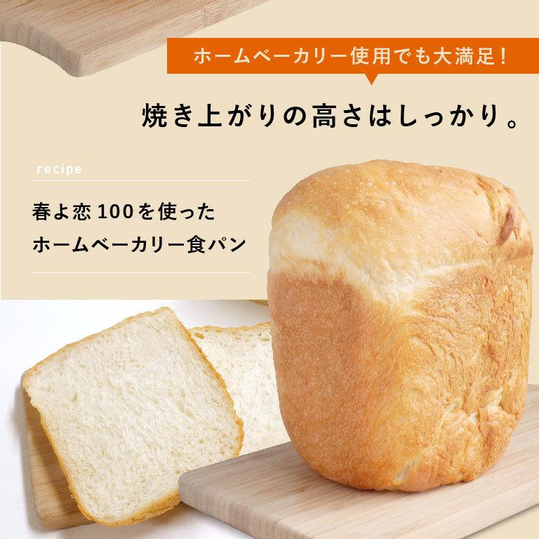 【ミルク食パンミックスプレゼント】送料込み 春よ恋100Advance 2.5kg×4 北海道産 パン用 小麦粉 送料無料 【沖縄は別途追加送料必要】｜mamapan｜09