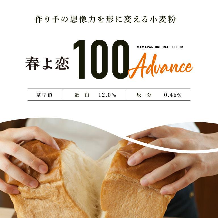 強力粉 春よ恋100Advance 北海道産パン用小麦粉 2.5kg 国産小麦粉 パン作り｜mamapan｜02