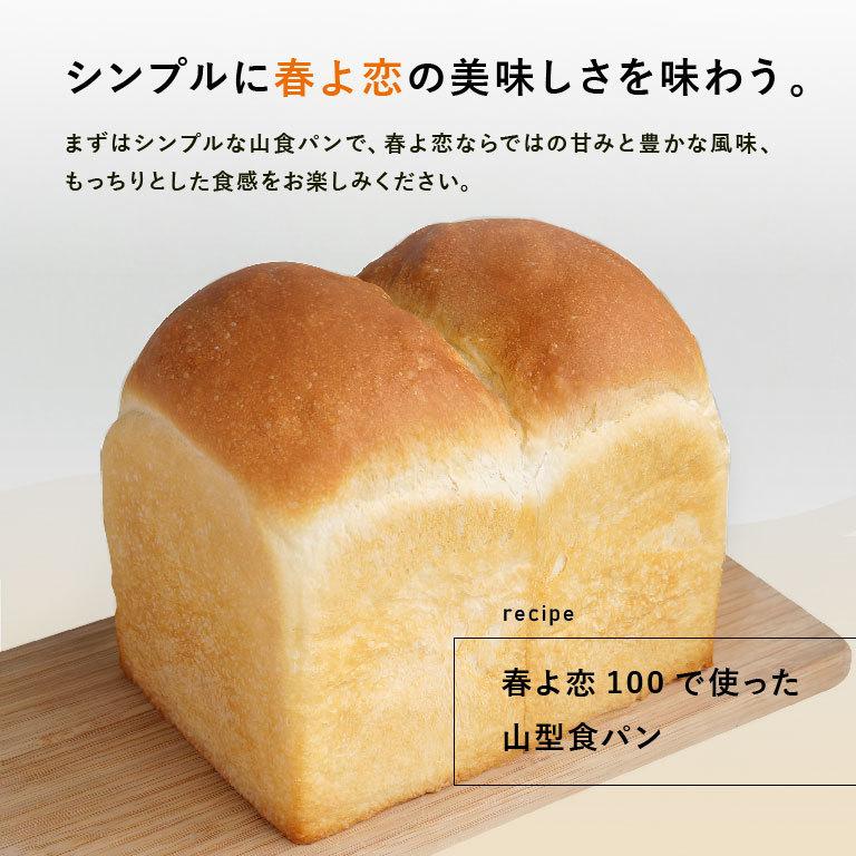 強力粉 春よ恋100advance 北海道産パン用小麦粉 2 5kg 国産小麦粉 パン作り 1100t081 ママパン ママの手作りパン屋さん 通販 Yahoo ショッピング