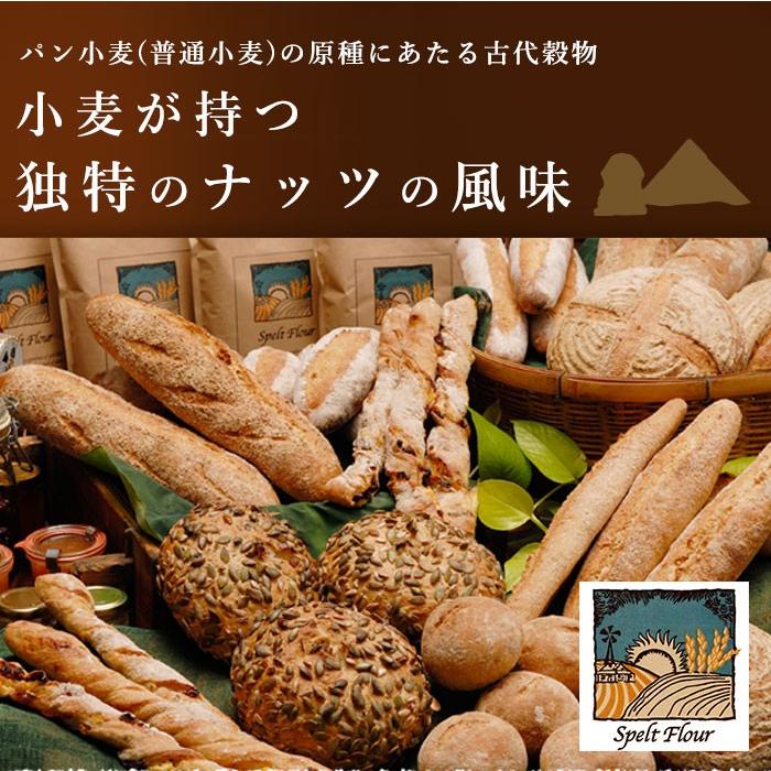 スペルト小麦粉 1kg 西尾製粉 スペルト小麦 古代小麦｜mamapan｜03