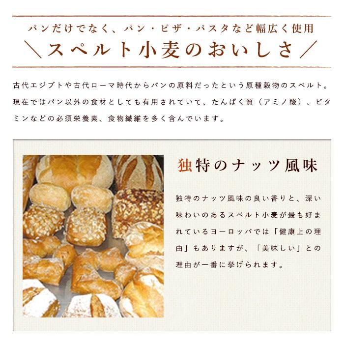 スペルト小麦粉 西尾製粉 1kg スペルト小麦 古代小麦 1100t229 ママパン ママの手作りパン屋さん 通販 Yahoo ショッピング