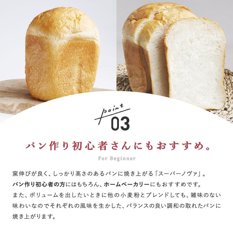 江別製粉 スーパーノヴァ（1CW）25kg 強力粉 パン用小麦粉【沖縄は別途