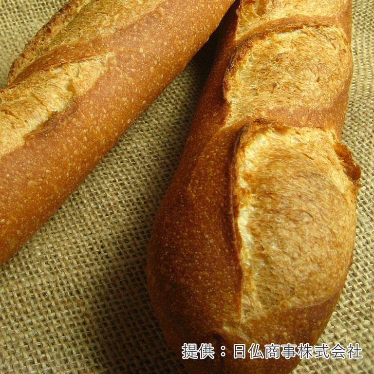 LESAFFRE サフ セミドライイースト レッド 400g 酵母 低糖用